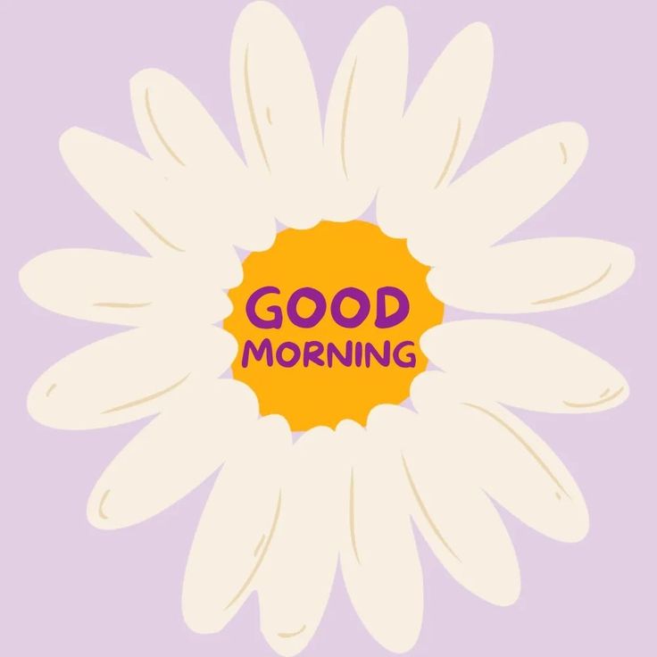 a white flower with the words good morning written on it's center, in front of a purple background