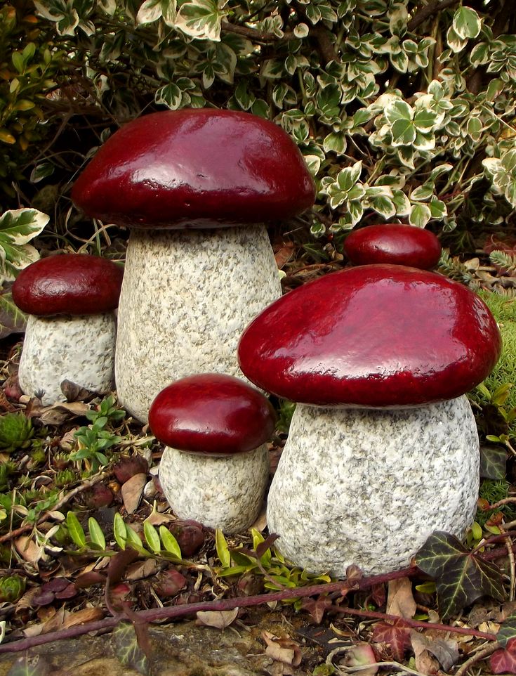 three red and white mushrooms sitting on the ground