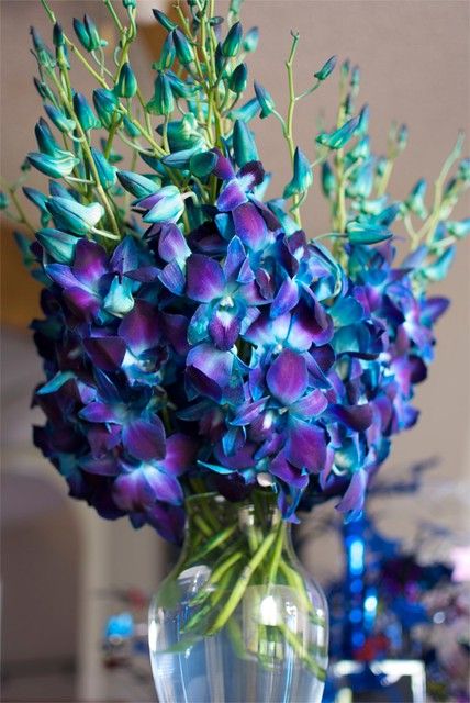 a vase filled with purple and blue flowers