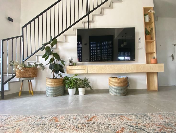 a living room with some plants and a tv