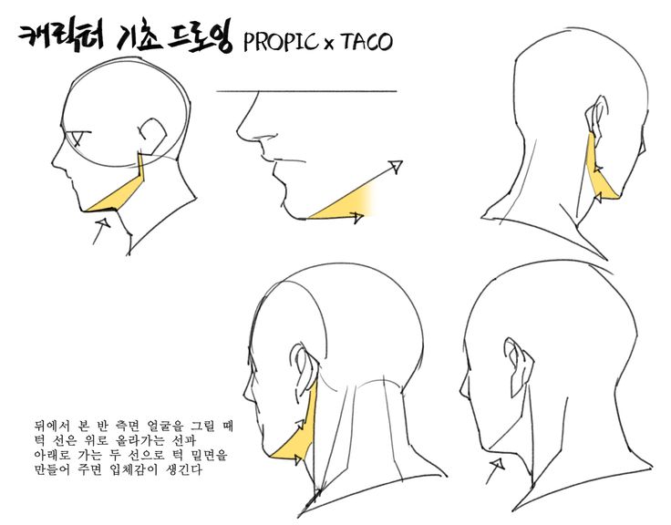 an image of the side view of a man's head and neck with different angles