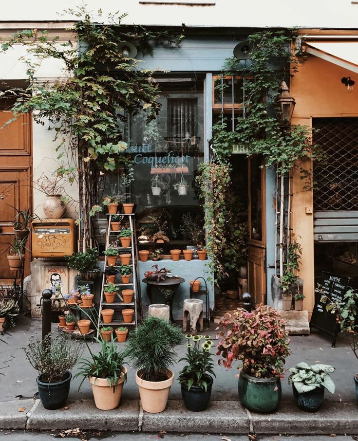 many potted plants in front of a building