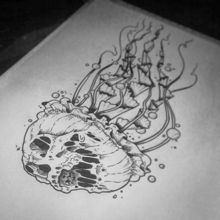 an ink drawing of a skull with tentacles and bones on it's back side