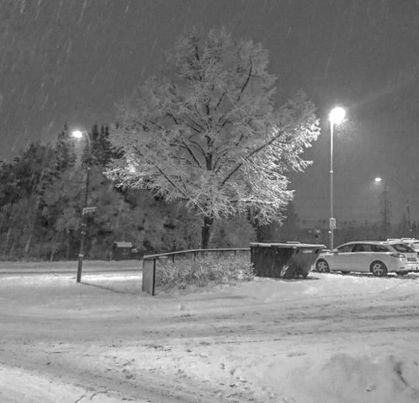 cars are parked in the parking lot at night with snow falling from the trees and street lights