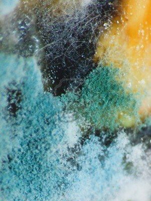 an abstract photograph of blue, yellow and green paint on paper with water droplets coming out of it