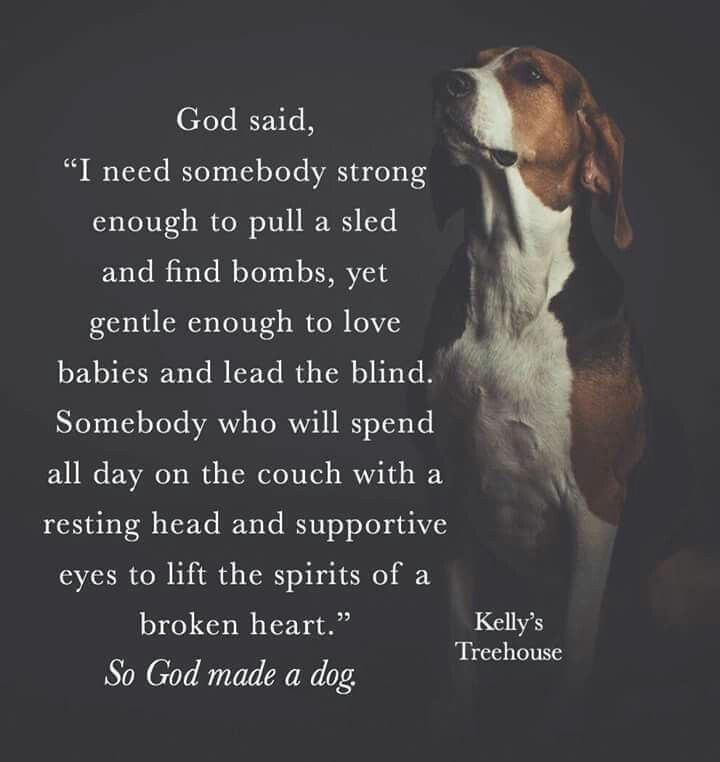 a dog sitting in front of a black background with the words god said, i need somebody