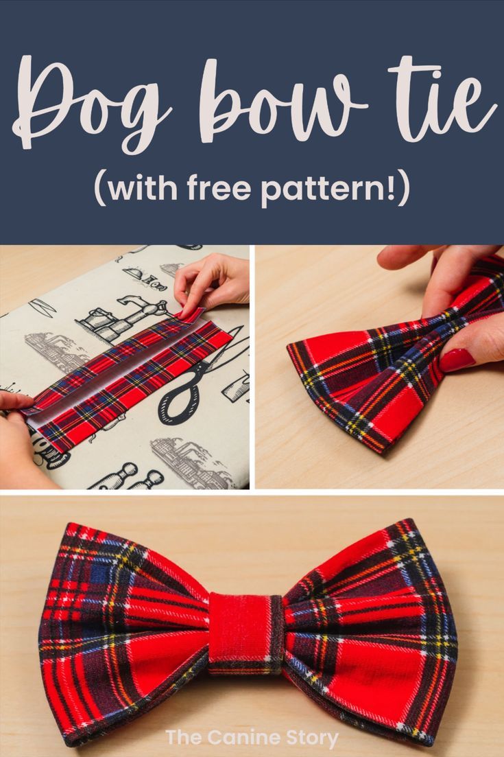 A selection of x3 photos showing a tartan bow tie in each stage of being made. Text reads Dog Bow Tie - with free pattern! Diy Dog Bows, Dog Bow Tie Diy, Dog Bow Tie Pattern, Bow Tie Tutorial, Bandanas Diy, Dog Bandana Pattern, Dog Sewing Patterns, Dog Poo, Diy Dog Collar