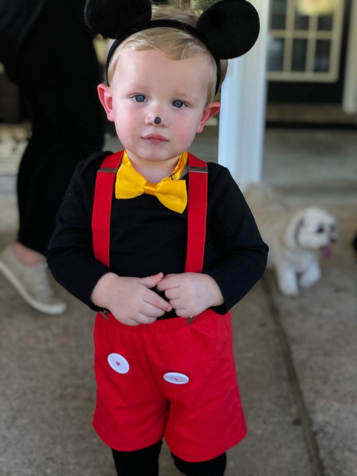 a little boy dressed up as mickey mouse