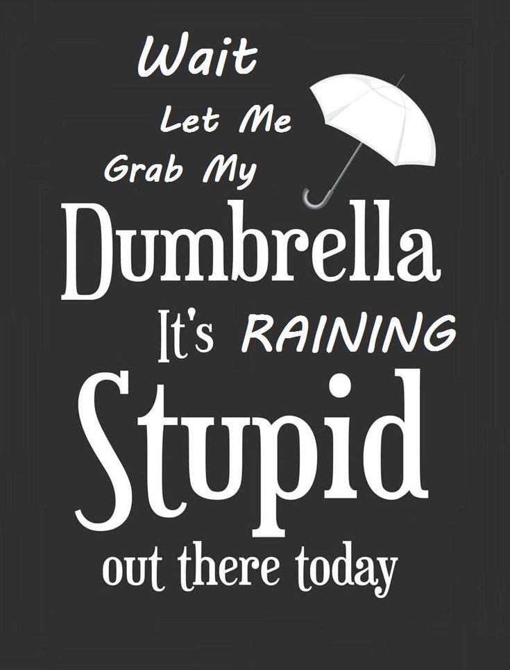 Wait Let Me Grab My Dumbrella Raining Stupid Out Today Funny Sarcastic Quote Sign 8x12" New Made In America To Order Exquisite Custom Decor Premium aluminum sign approximately 8.5 inches x 12 inches. Each sign comes with pre-drilled holes and radius corners for easy installation. Crafted with precision using a high-quality UV printer and fade-resistant ink, these signs are built to last for years. They are environmentally friendly, recyclable, waterproof, durable, colorfast, and easy to clean, e Funny Quotes Signs, Thuggin It Out Quotes, Photographic Memory, Unique T Shirt, Art Fantasy, Sarcastic Quotes Funny, Sarcastic Humor, Sarcastic Quotes, Sign Quotes