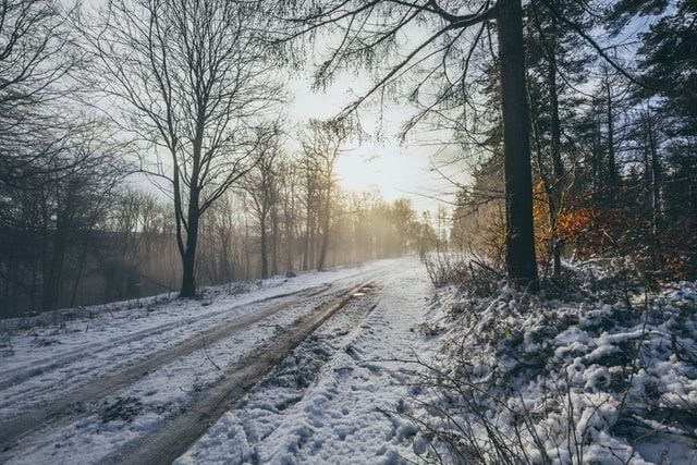 the sun shines through the trees on a snowy path in the woods with snow covered ground