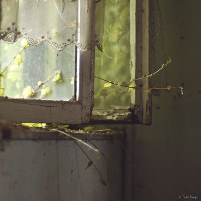 an old window with vines growing out of it and the reflection of another window behind it