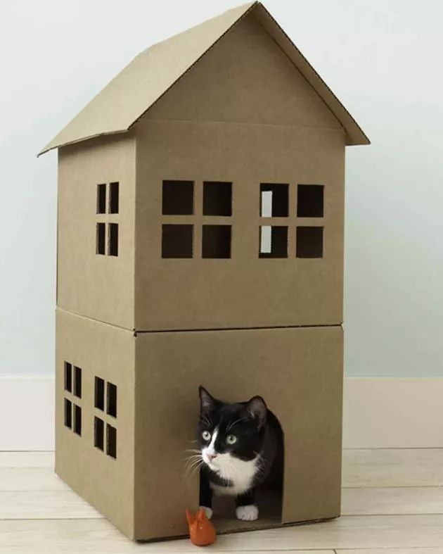 a cardboard house with a black and white cat in it