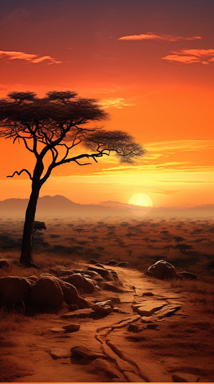 the sun is setting over an arid area with rocks and a tree in the foreground