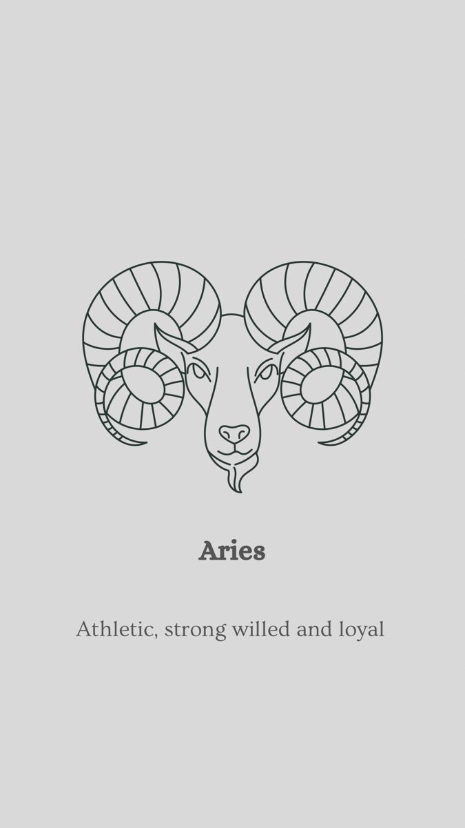 Pin for Aries The Ram, Aries Aesthetic Tattoo, Aires Zodiac Tattoo Aries, Aries Drawing, Aries The Ram, Aries Zodiac Drawing, Aries Animal Tattoo, Aries Design Drawings, Aries Line Art