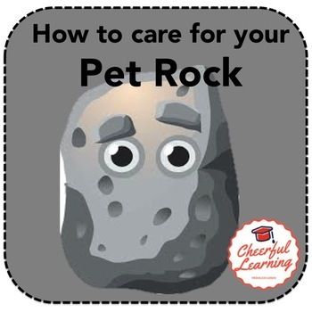 a rock with the words how to care for your pet rock