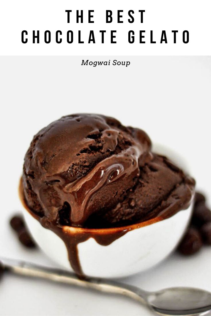 the best chocolate gelato is served in a bowl