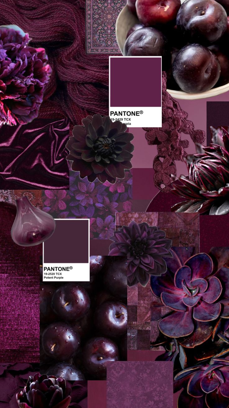 an assortment of different shades of purple and red, with flowers in the middle one is filled with plums