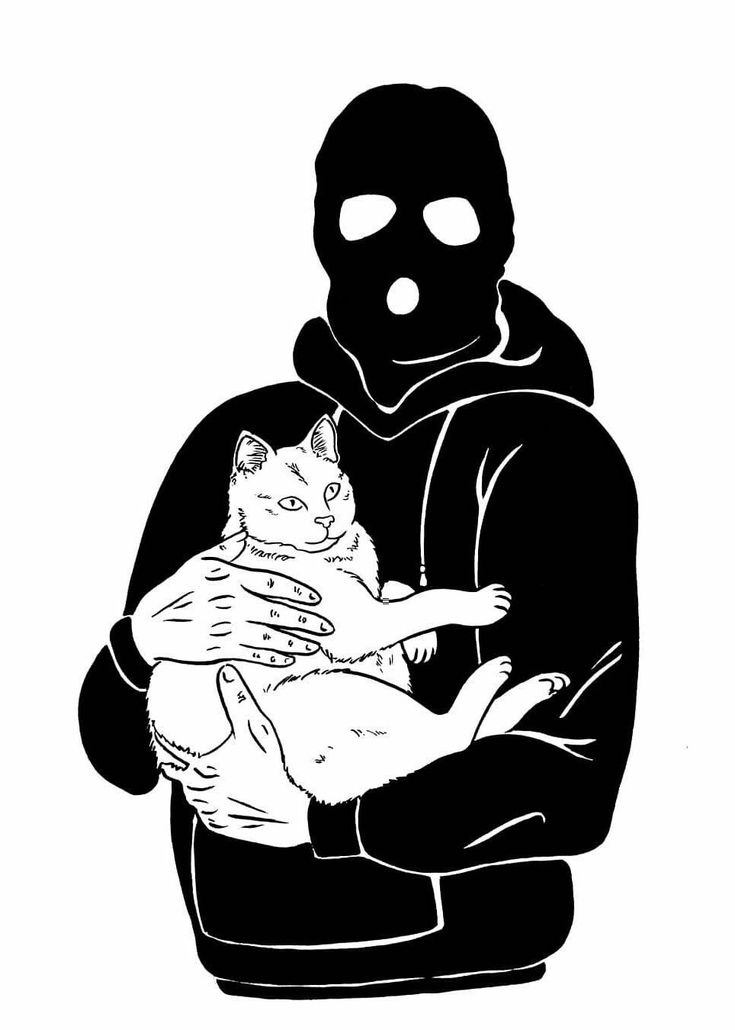 a person wearing a mask holding a cat in their arms, with the image of a masked man behind them