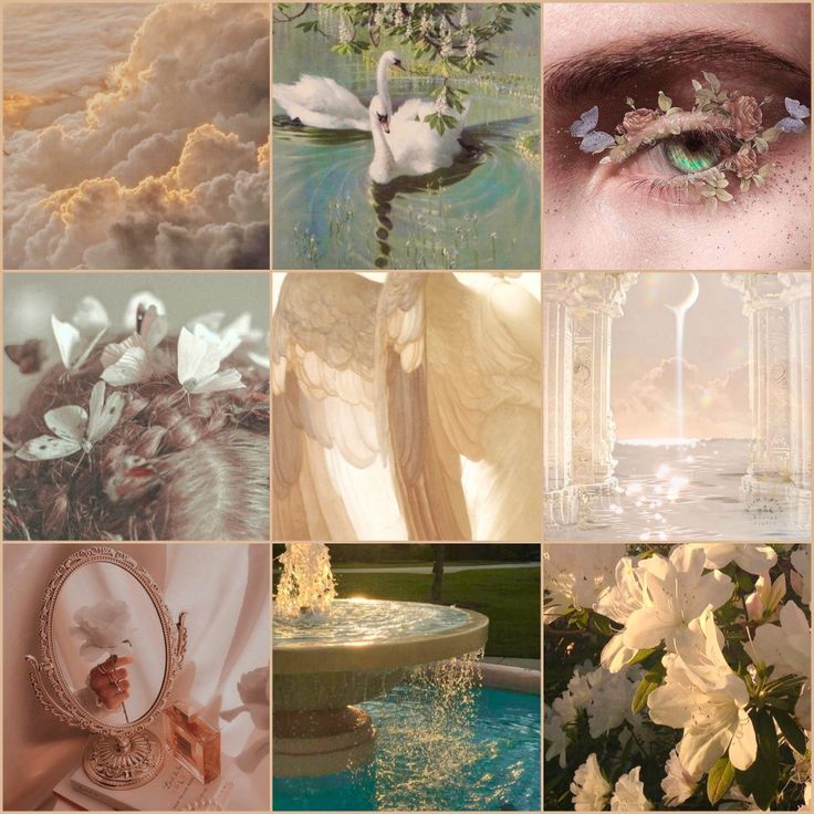 a collage of images with flowers and swans in them, including an angel's eye