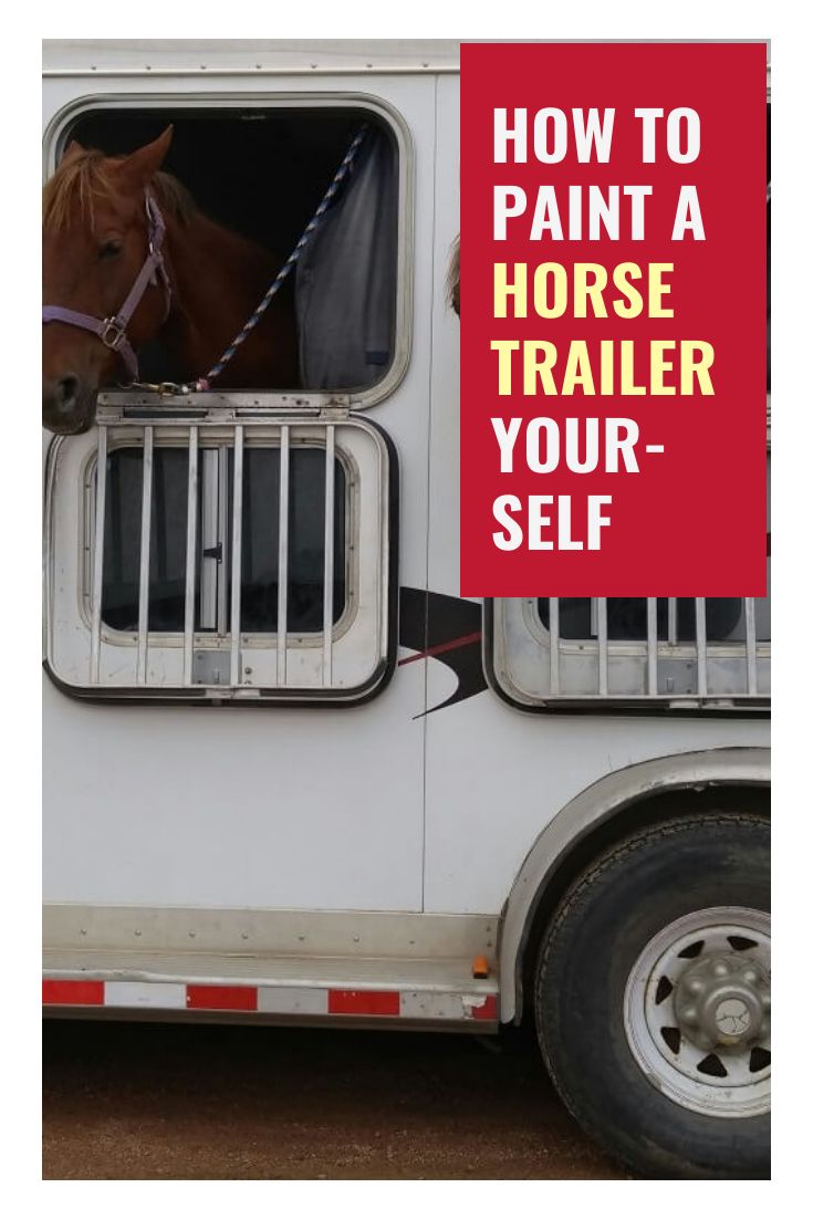 a horse is looking out the window of a trailer that says how to paint a horse trailer your - self