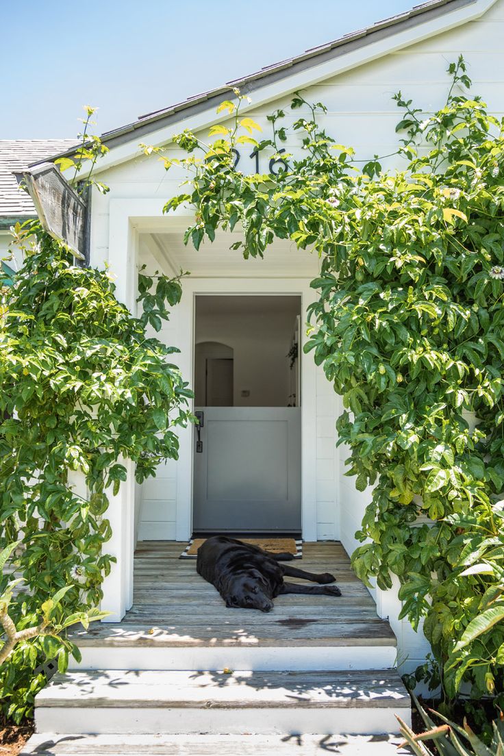 a black dog laying on steps in front of a white house with trees and bushes