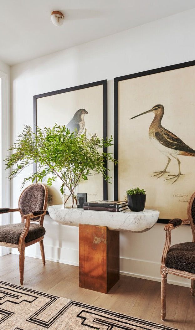 two birds are hanging on the wall above a table with chairs and a potted plant