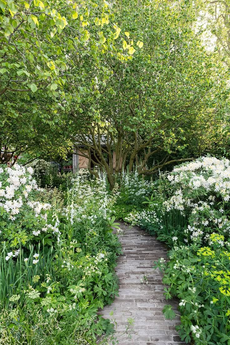 a wooden walkway surrounded by white flowers and green trees in the middle of a garden