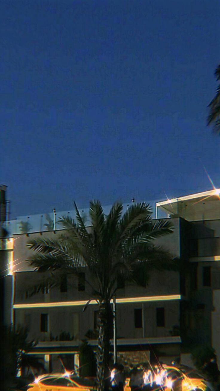 a clock tower in front of a building with palm trees on the sidewalk and street lights