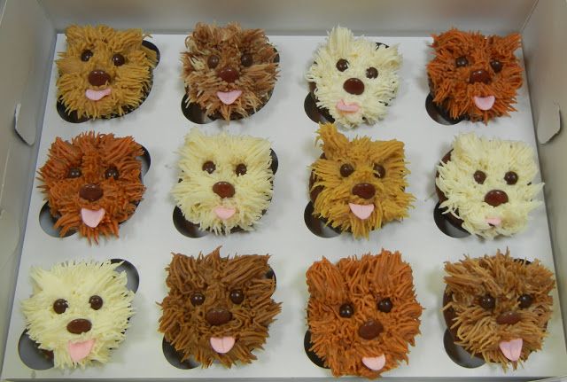 a box filled with cupcakes shaped like dogs