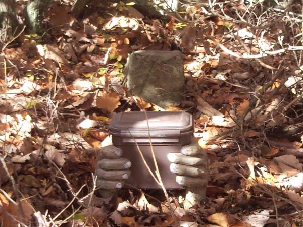 a hand holding an object in the middle of leaves on the ground with it's fingers