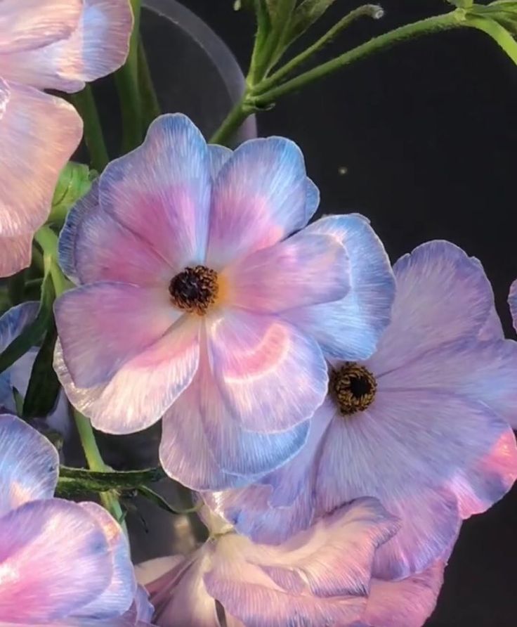 pink and blue flowers are in a vase