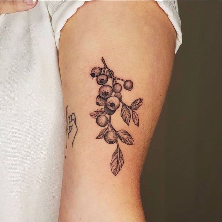 a woman's arm with a tattoo on it that has berries and leaves on it