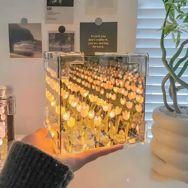 a person holding up a clear box with candles in it on a table next to a potted plant