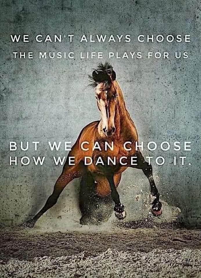 a horse running in the dirt with an inspirational quote above it that says, we can't always choose the music life plays for us but we can choose how we dance to it