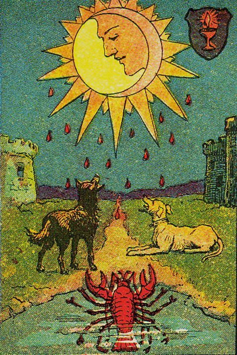 a tarot card with the sun and two dogs in front of it, surrounded by other animals