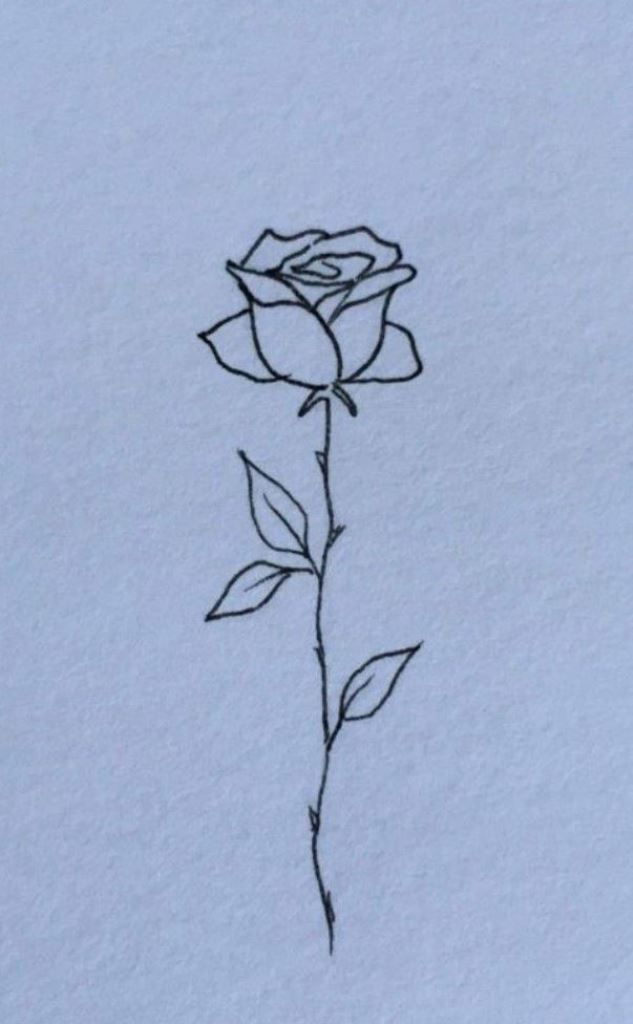 a drawing of a single rose in the snow