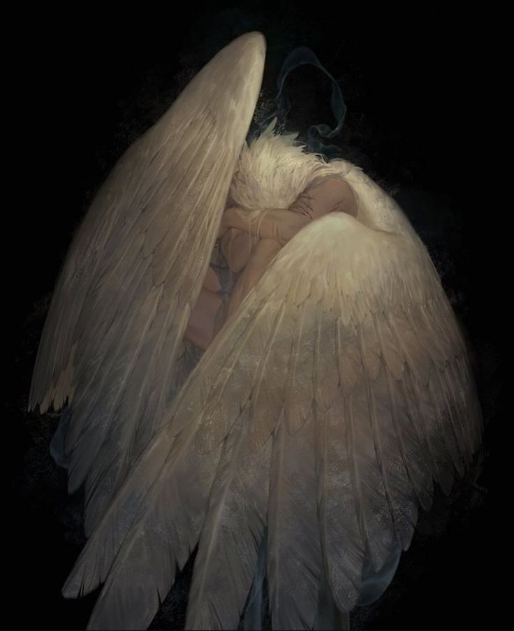 an angel is sleeping in the dark with its wings spread