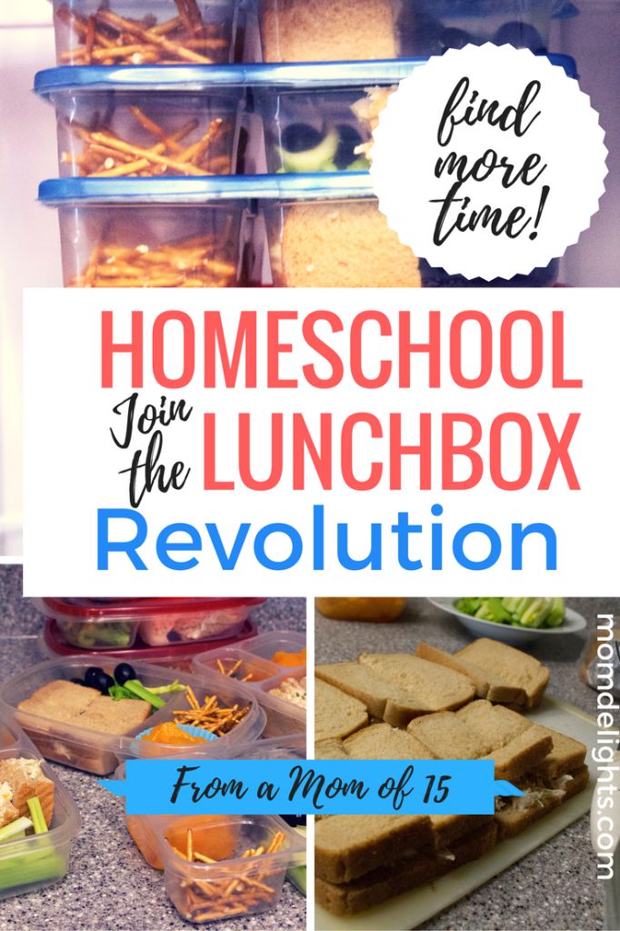 the back to school lunch box revolution is here