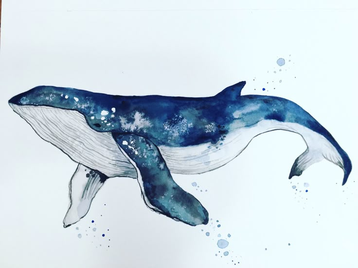 a watercolor painting of a blue whale