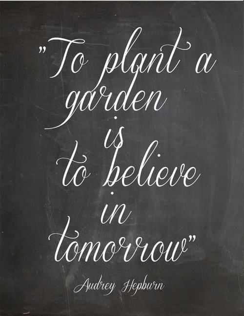 a quote written on a chalkboard that says to plant a garden is to believe in tomorrow