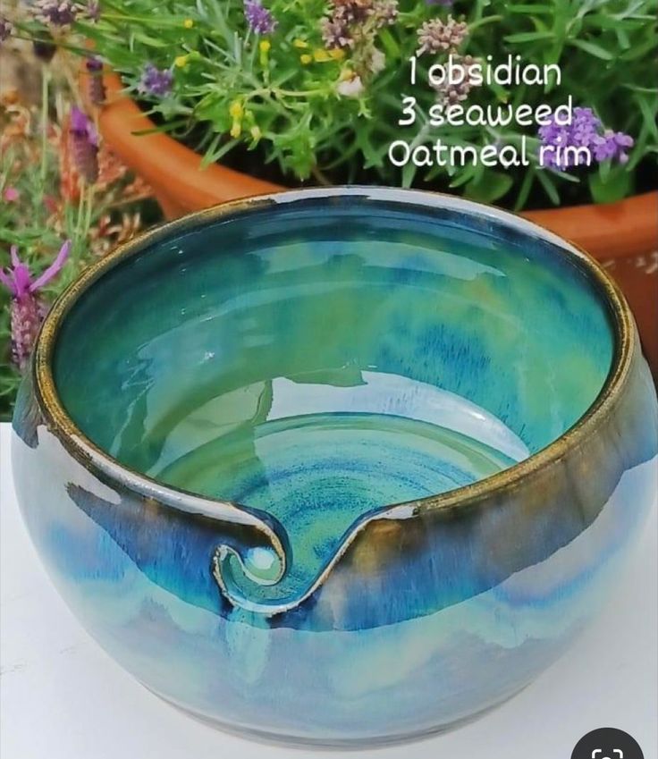 a blue and green bowl sitting on top of a table next to potted plants