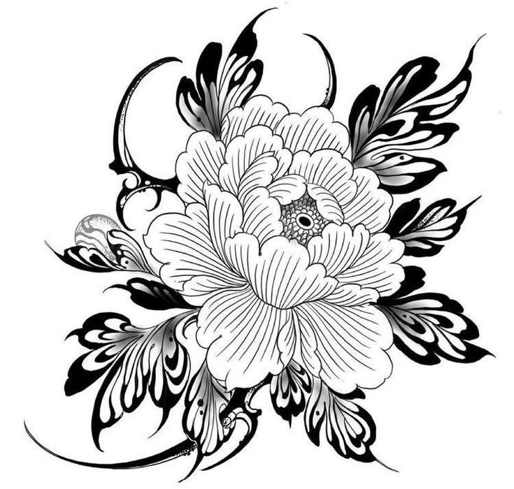 a black and white drawing of a flower with leaves on the side, in an artistic manner