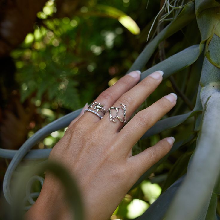 Hammerhead Shark Design Ring 14k White Gold Additional sizes available for special order, contact us Exclusively Made in Hawaiʻi Forever Guarantee (Warranty on the life of the piece) Free Shipping on USA Orders $100 or more Shark Ring, Coral Tree, Shark Design, Hammerhead Shark, Band Design, Branch Design, Diamond Anniversary Rings, Radiant Diamond, 14k White Gold Ring