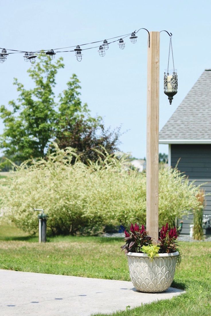 a potted plant sitting on the side of a sidewalk next to a pole with lights hanging from it