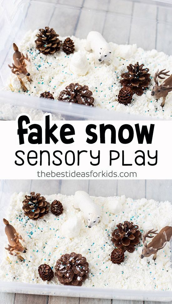 fake snow and pine cones in a plastic container with the words fake snow on it