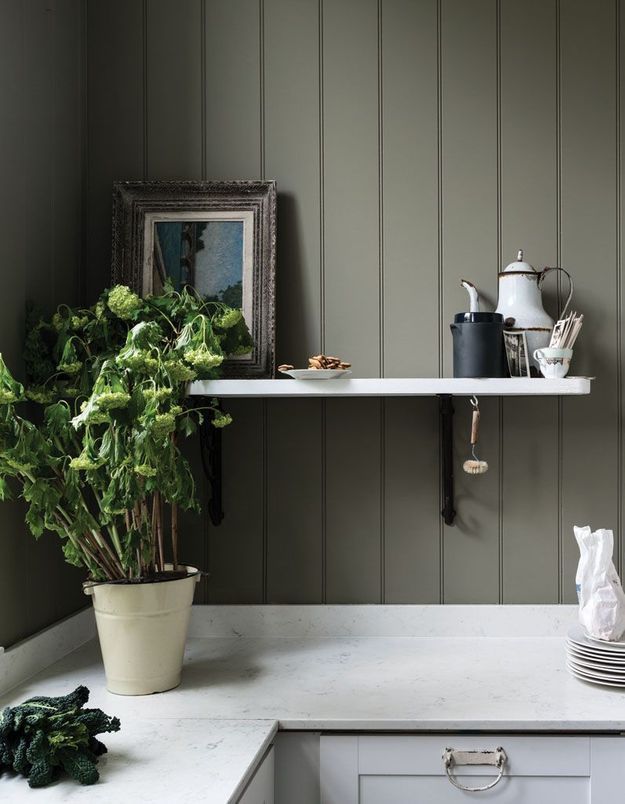 a potted plant sitting on top of a kitchen counter