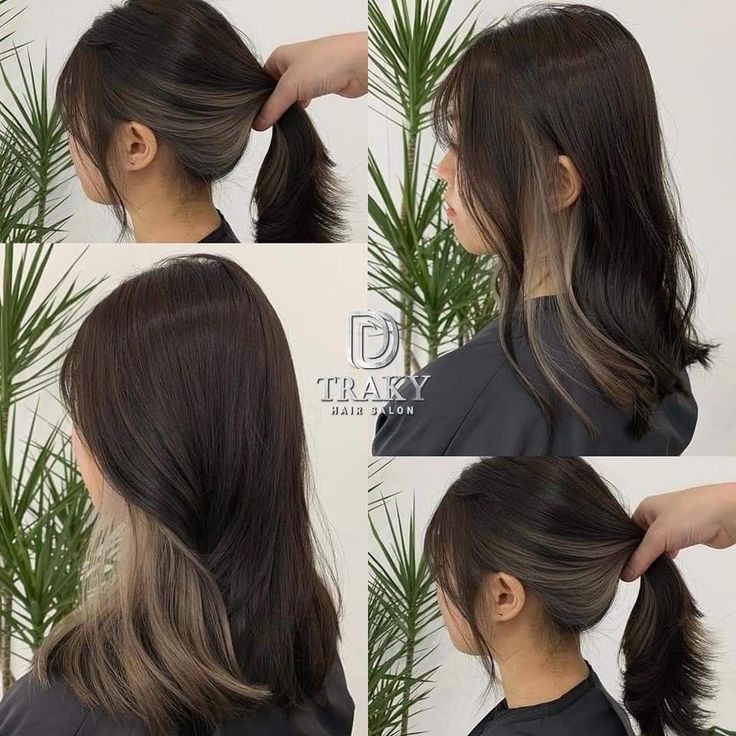 Half Dark Brown Half Light Brown Hair Underneath, Hair Ideas For Asian Hair, Black With Brown Hair Underneath, Peekaboo Hair Color For Asian, Under Dyed Hair Brown, Ash Brown Underdye Hair, Peek A Boo Hair Color Brown, Brown Underlights Hair, Light Brown Under Dye