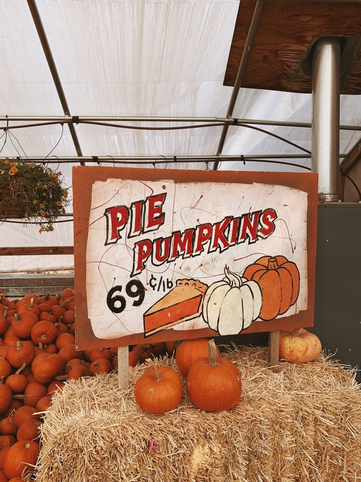 a sign for pie pumpkins with hay and pumpkins in the background