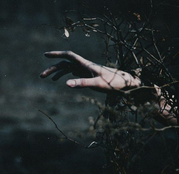 a person's hand reaching out from the ground