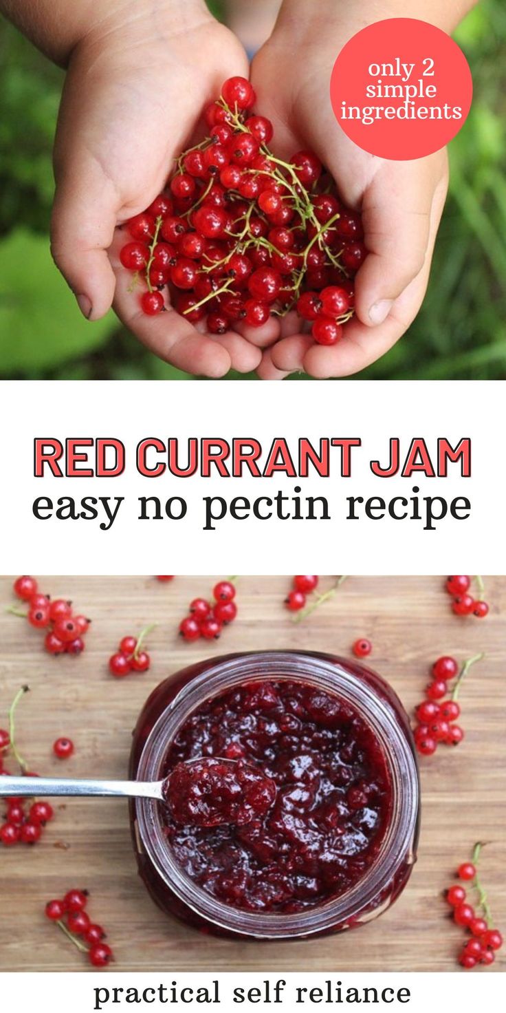 two photos with the words red curran jam and an image of hands holding berries